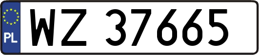 WZ37665