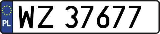 WZ37677