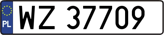 WZ37709