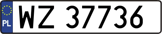 WZ37736