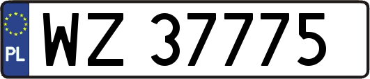 WZ37775