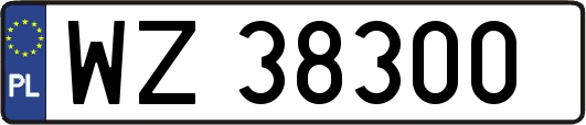 WZ38300