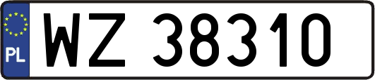 WZ38310