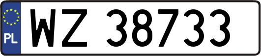WZ38733