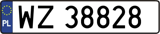 WZ38828