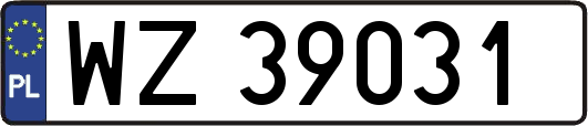 WZ39031