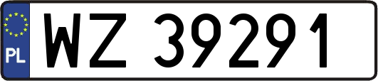 WZ39291