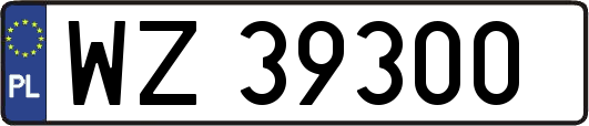 WZ39300