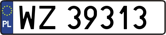 WZ39313