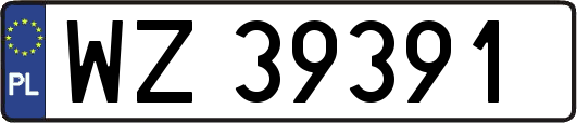 WZ39391