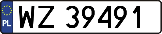 WZ39491