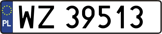 WZ39513