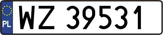WZ39531