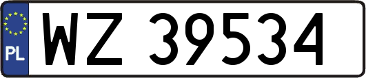 WZ39534