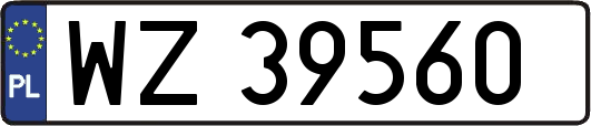 WZ39560
