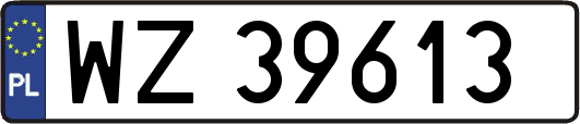 WZ39613
