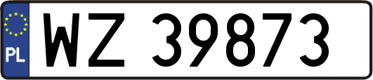 WZ39873