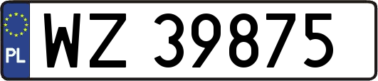 WZ39875