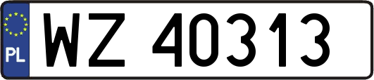 WZ40313
