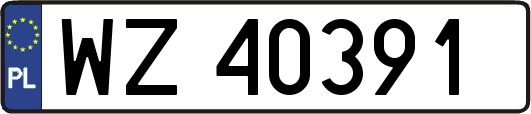 WZ40391