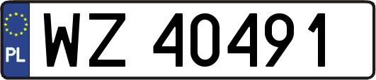 WZ40491