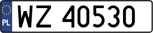 WZ40530