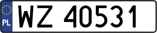 WZ40531