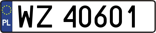 WZ40601