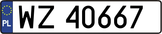 WZ40667