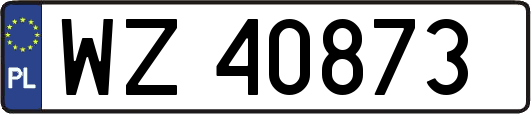 WZ40873