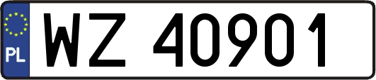 WZ40901