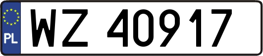 WZ40917