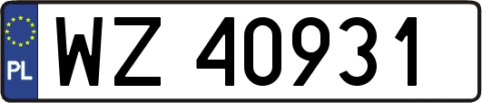 WZ40931