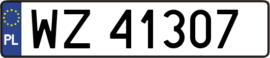 WZ41307