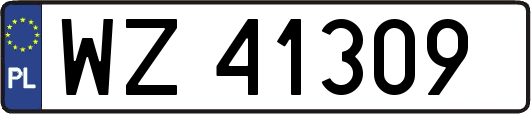 WZ41309