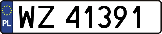 WZ41391