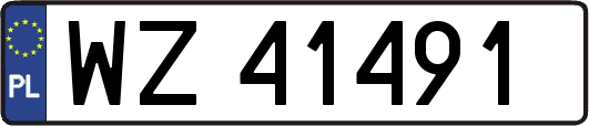 WZ41491
