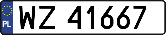WZ41667