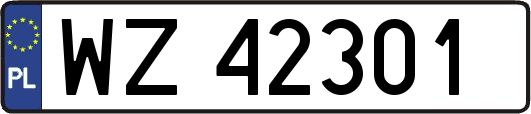WZ42301