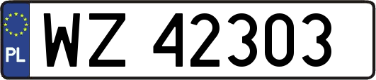 WZ42303