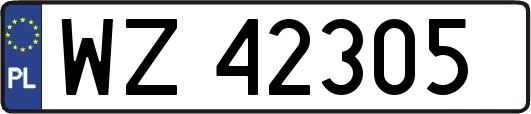 WZ42305