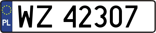 WZ42307
