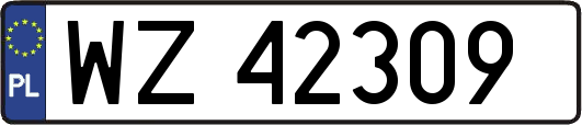 WZ42309