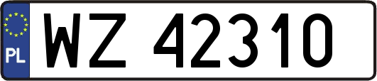 WZ42310