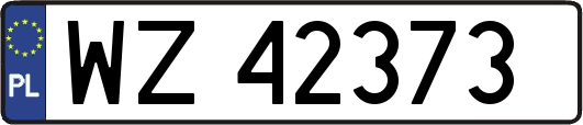 WZ42373