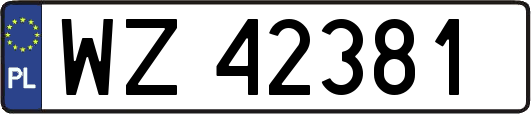 WZ42381