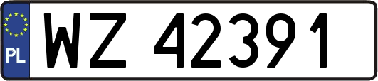 WZ42391