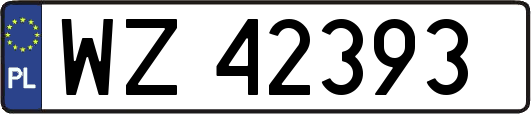 WZ42393