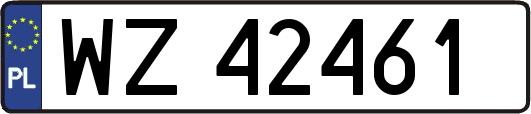 WZ42461