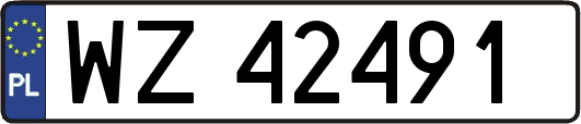WZ42491
